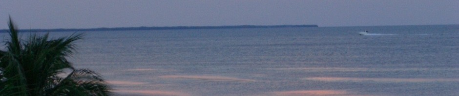 Beautiful Ocean